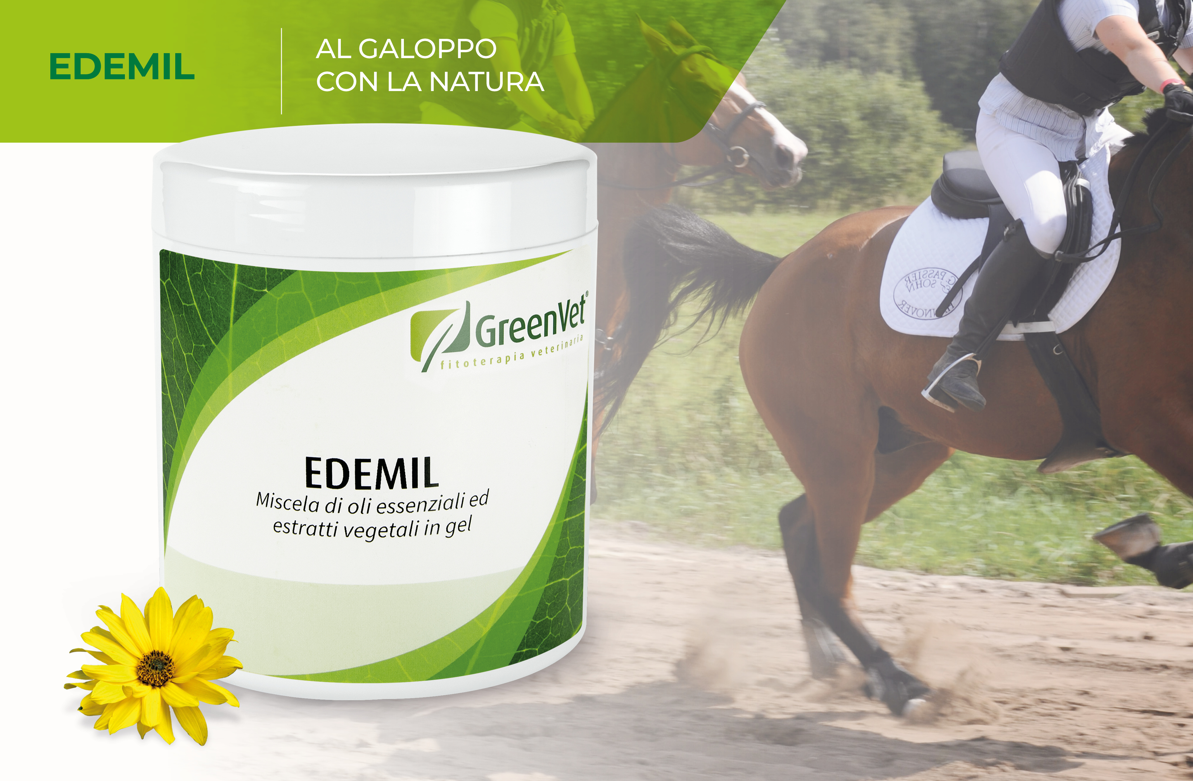 Composizione-cavallo- x-uso-esterno-edemil-3